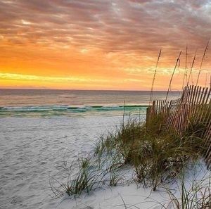 Meet your Posher, Dixie